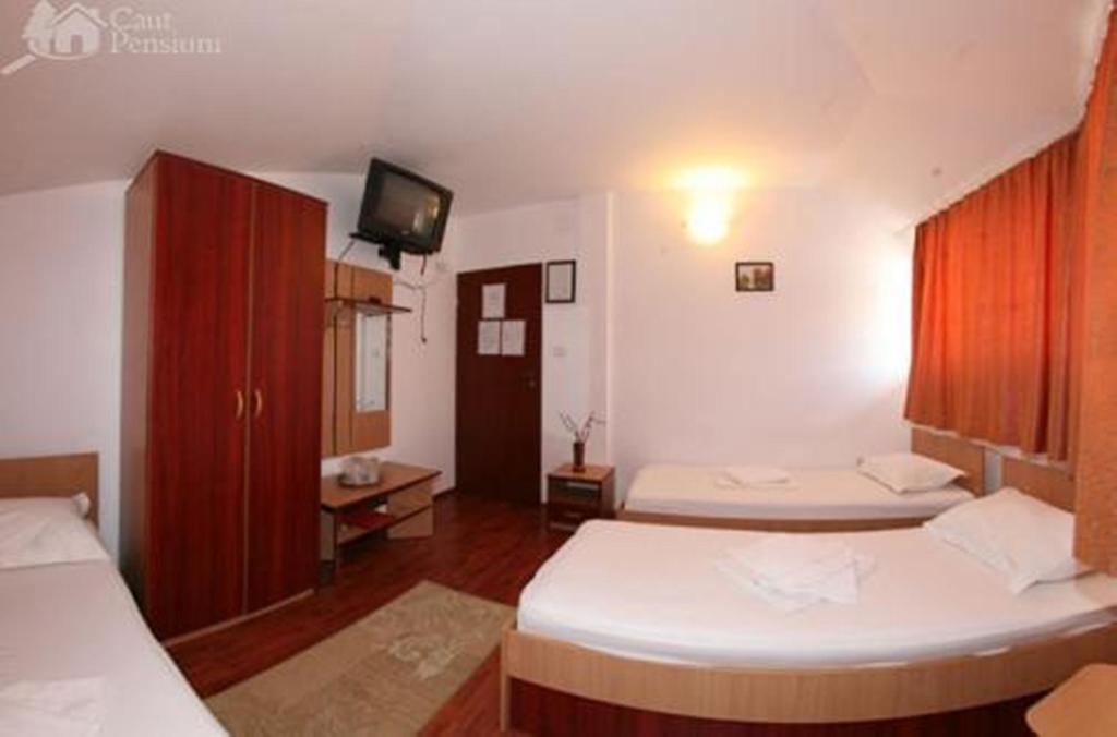 Pensiunea Ramona Tulcea Rum bild