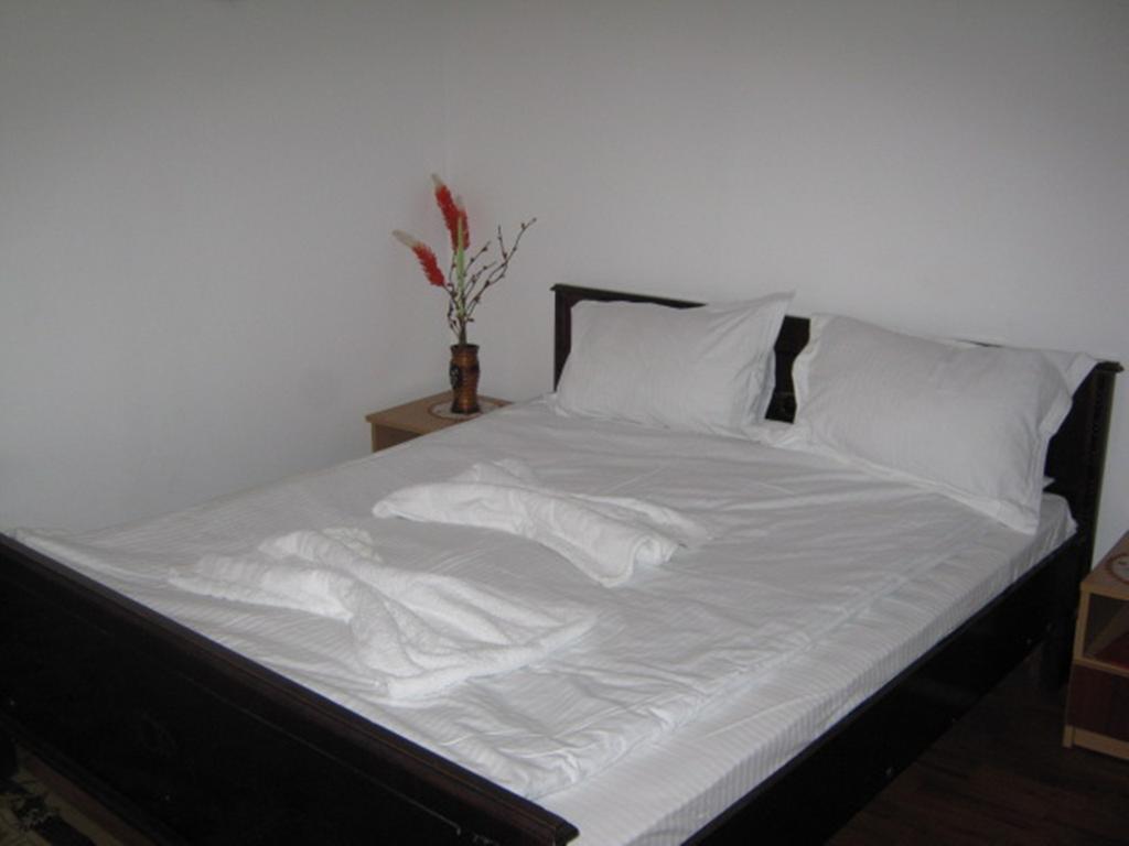Pensiunea Ramona Tulcea Rum bild